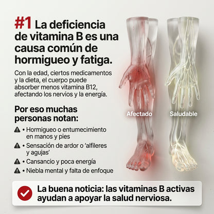 Bialvi - Complejo Vitamínico B