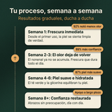 Tu proceso semana a semana